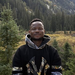 Felix Isarinade