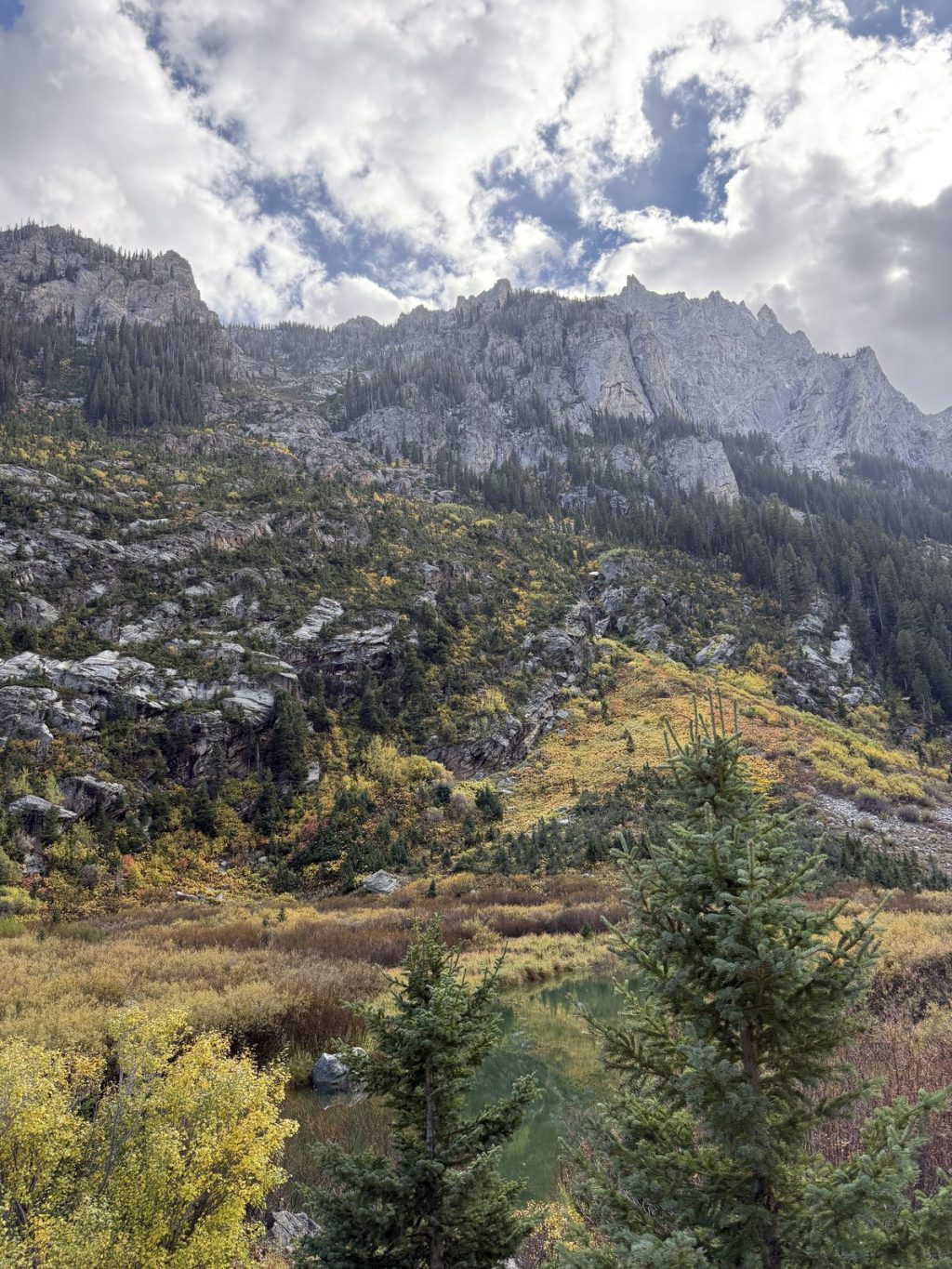 Fieldwork at Grand Teton National Park, September 2026