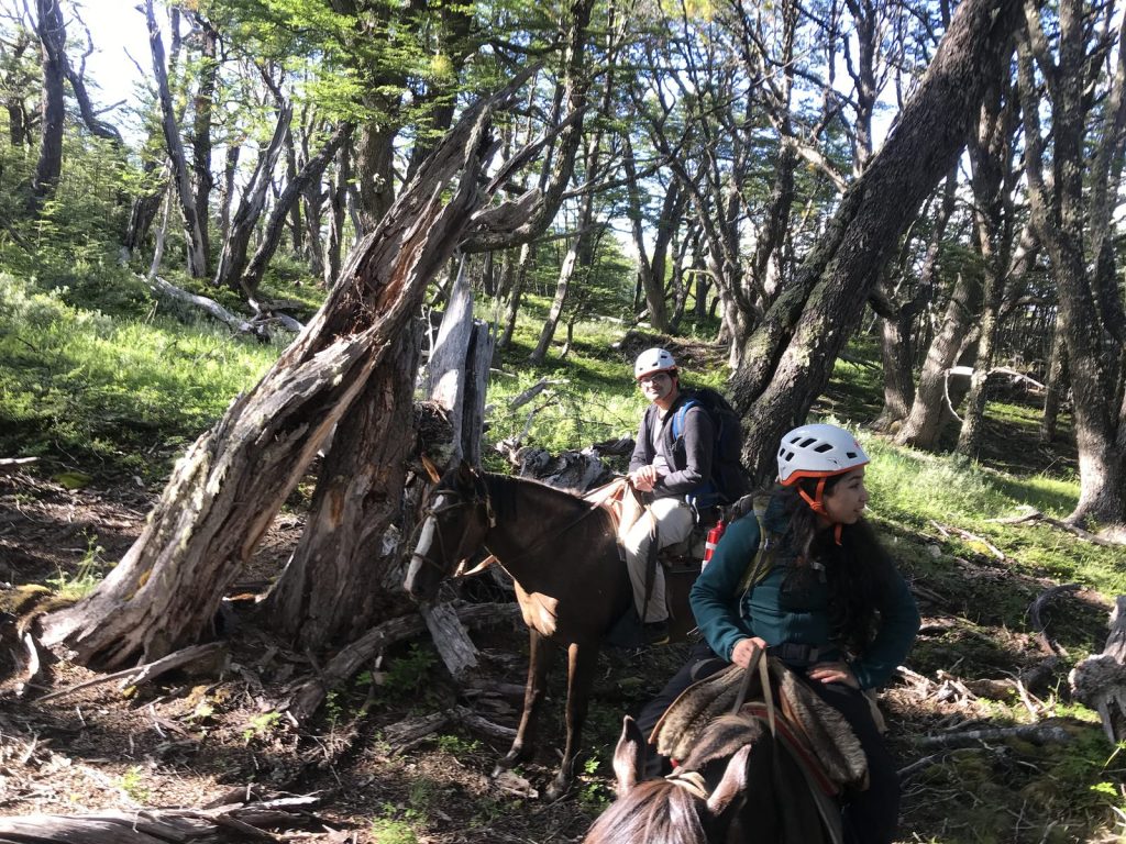 Fieldwork in the Río Nef basin, Chilean Patagonia, December 2020