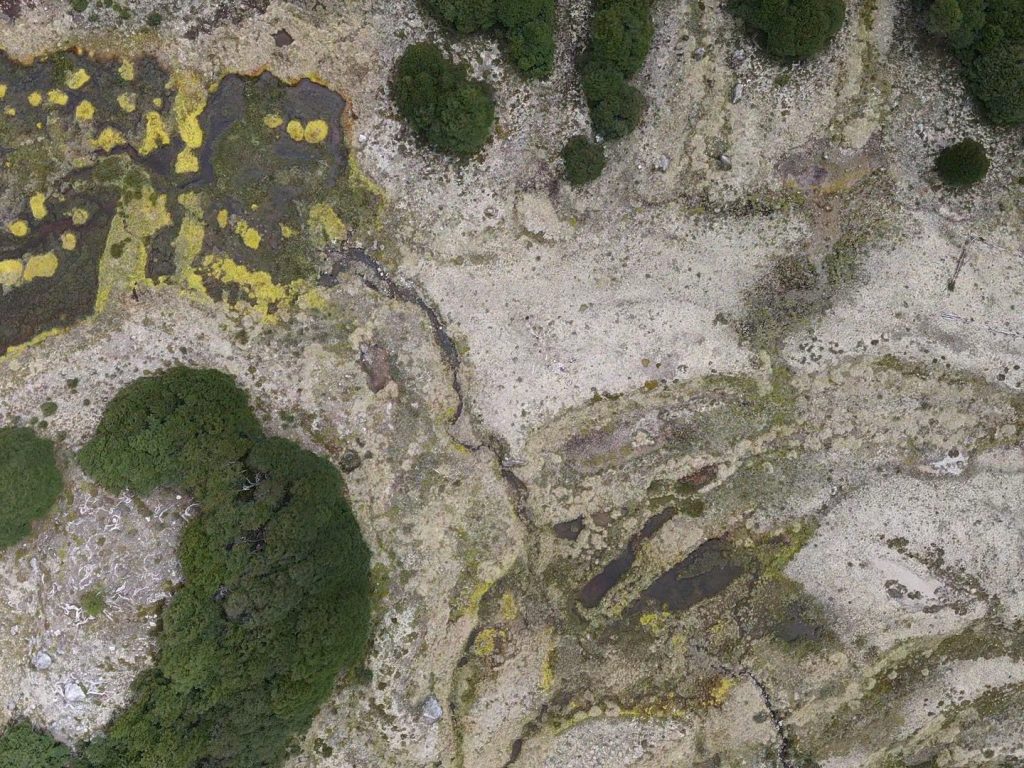 Fieldwork in the Río Nef basin, Chilean Patagonia, December 2020